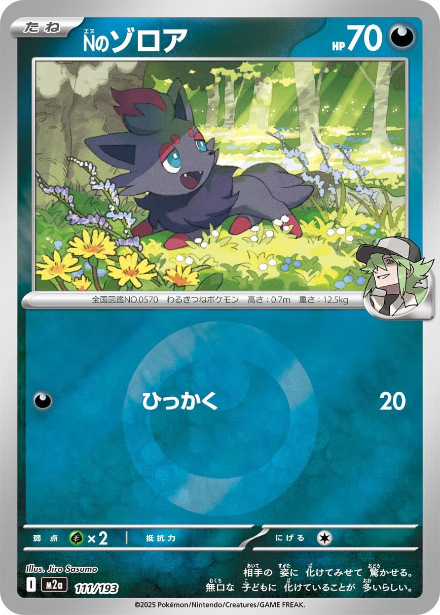 Nのゾロア