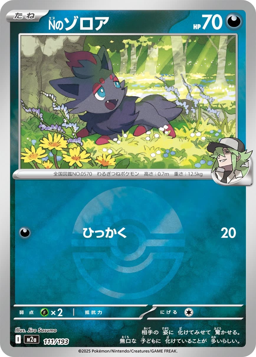 Nのゾロア