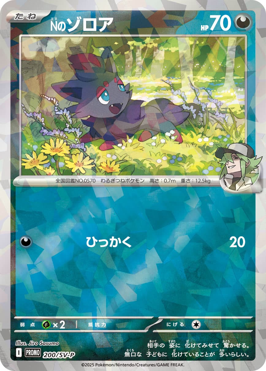 Nのゾロア